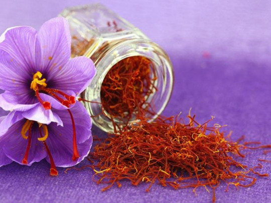 Saffron bahraman có tốt không?