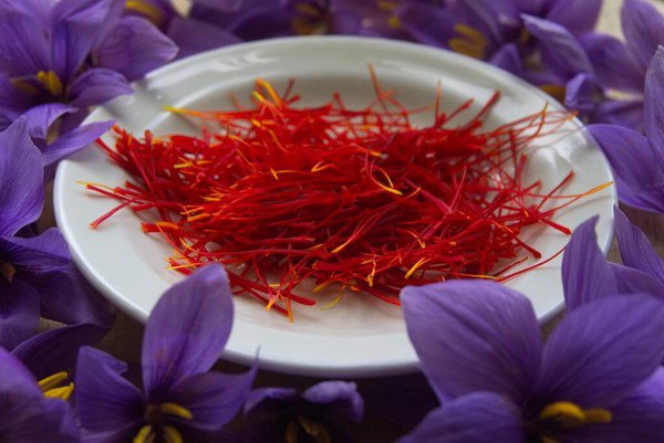 Hoa Saffron có tác dụng tích cực đến hệ tuần hoàn tim mạch