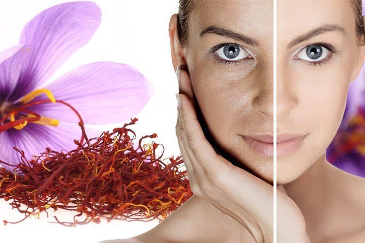 Saffron tác dụng tích cực đến hệ tuần hoàn tim mạch và ngăn chặn lão hóa