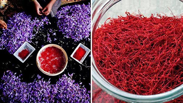 Công dụng Saffron Iran được chứng minh là có tác dụng tương tự các loại thuốc hỗ trợ điều trị trầm cảm