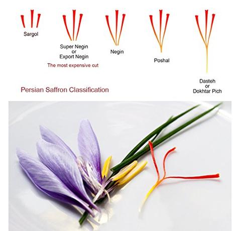 saffron-iran-co-may-loai