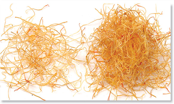 saffron-iran-co-may-loai
